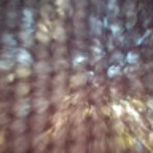 Meet your Posher, Blake